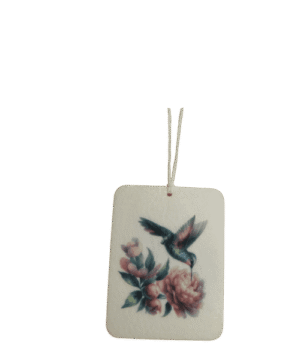 Alternative view of Hummingbird rose