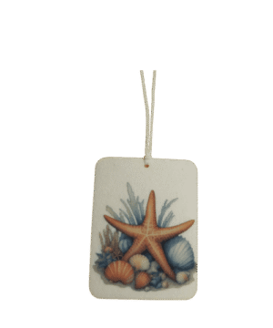 Seashells