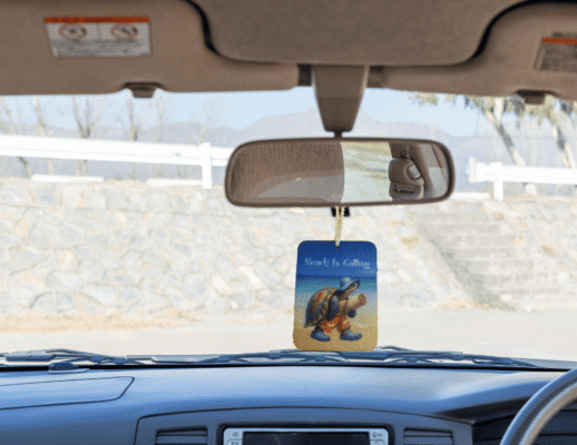Air Fresheners