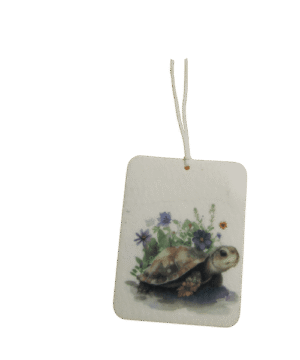 purple flower Turtle