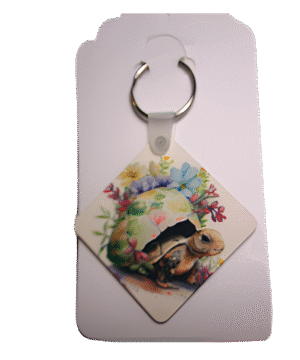 Tortoise Watercolors