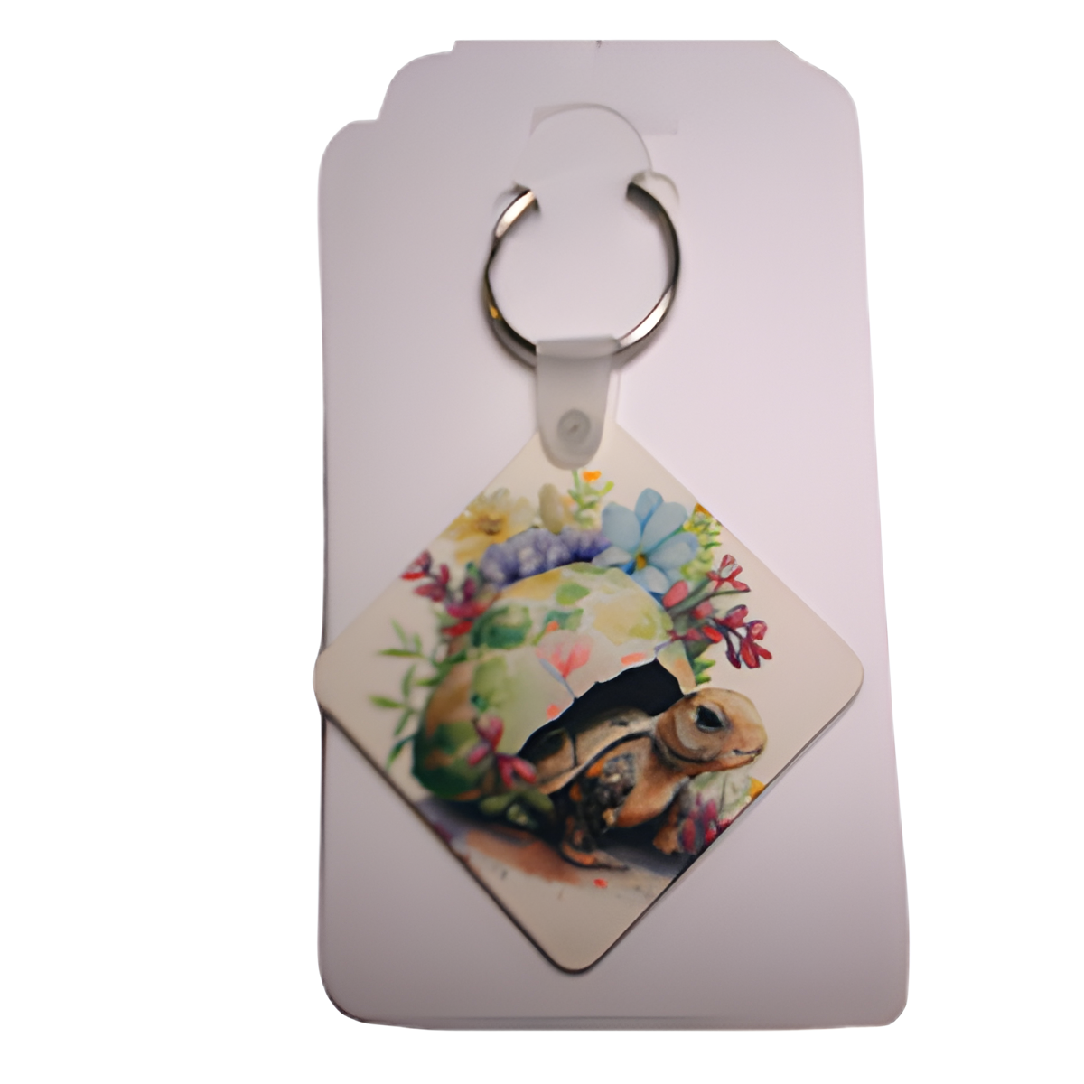 Tortoise Watercolors